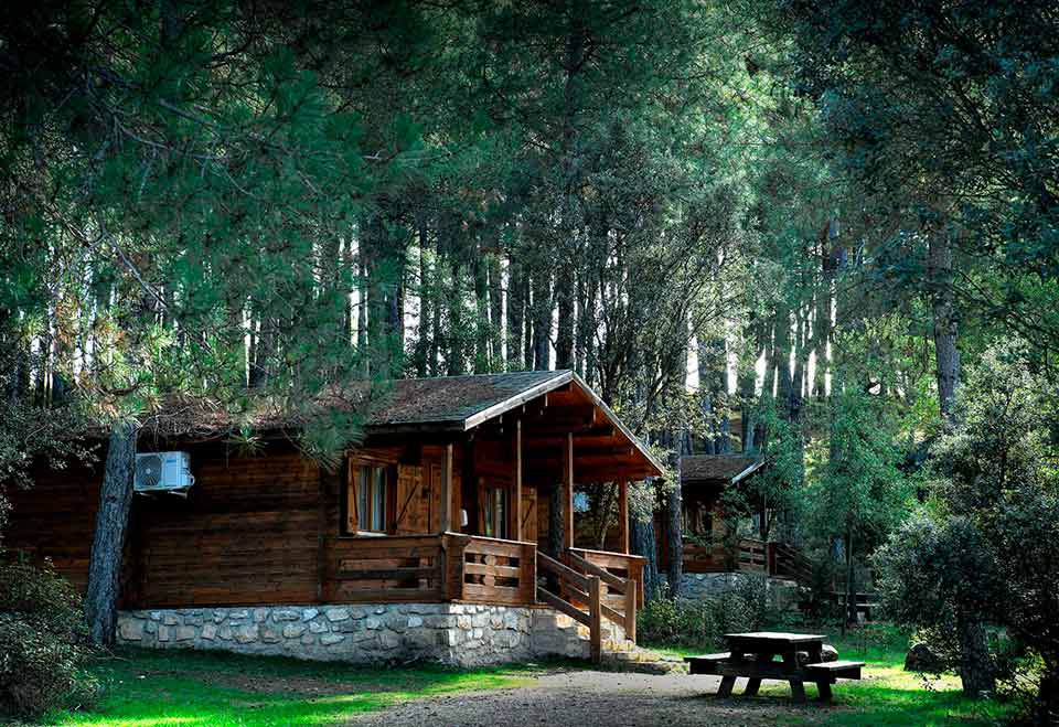 cabaña de madera