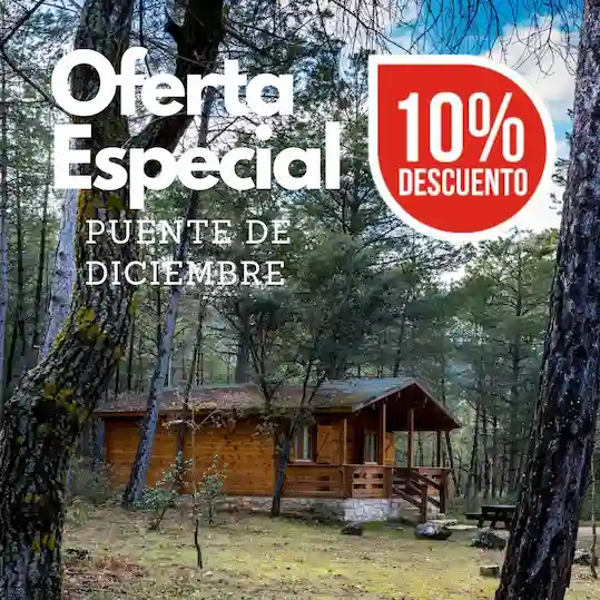 Oferta Especial puente de Diciembre