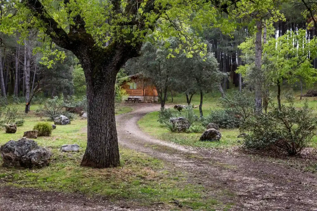 Cabañas en otoño