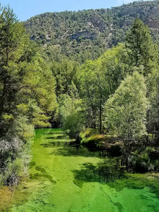 Ruta Salto de Poveda y Laguna de Taravilla
