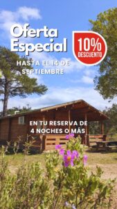 Promo 10%